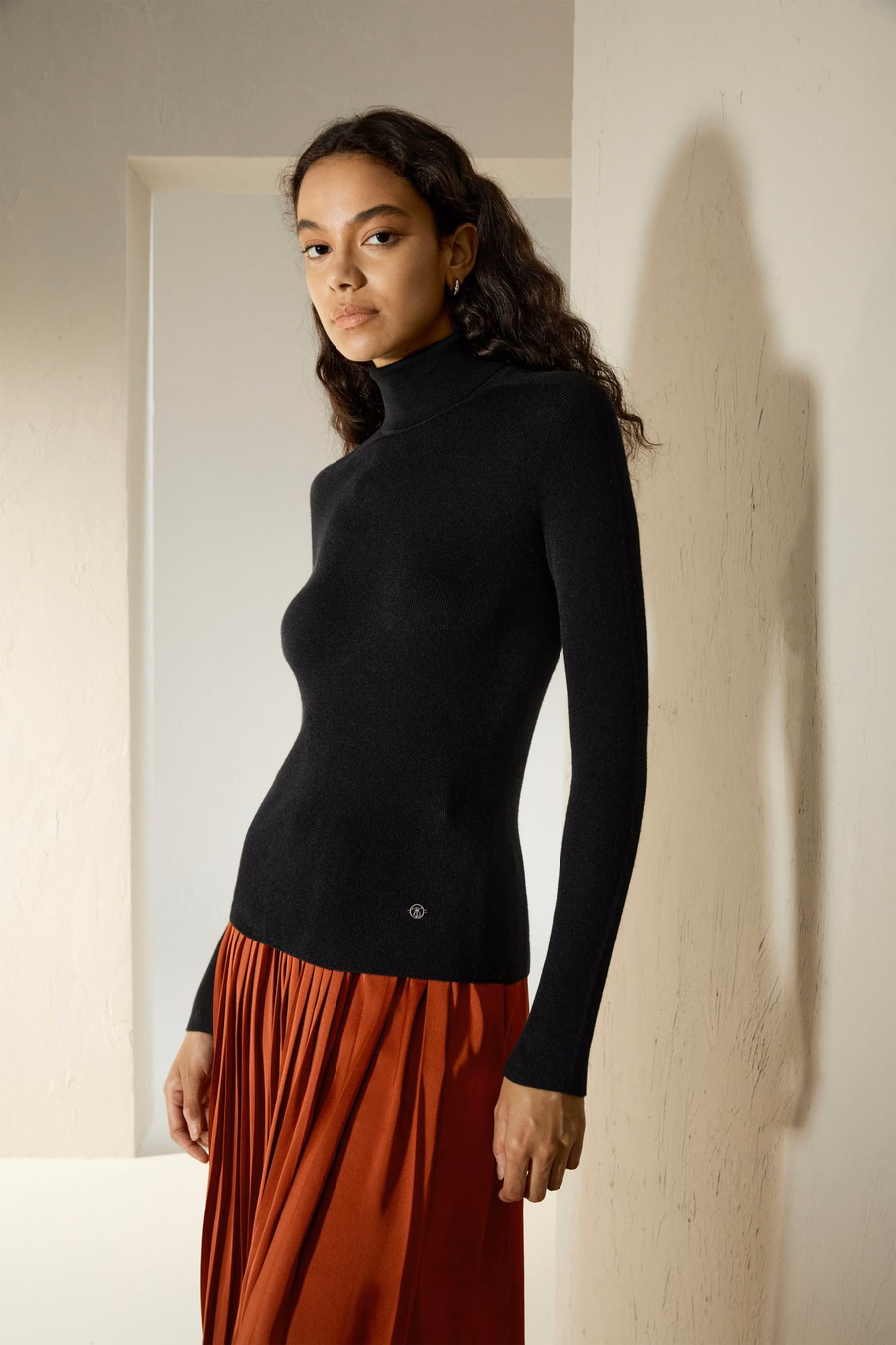 Naadloze Zijde-Kashmir Mix Turtleneck Trui